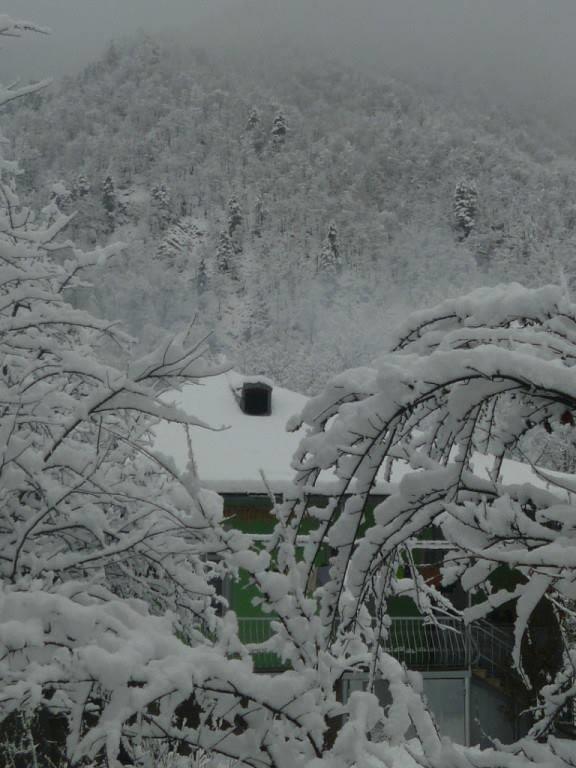 Guest House Carpediem Becho 外观 照片