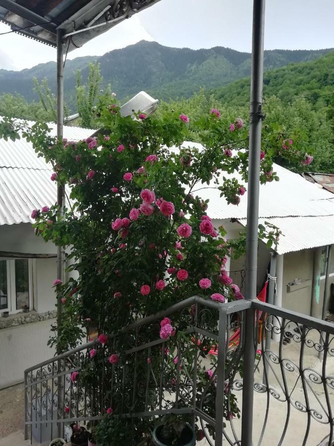 Guest House Carpediem Becho 外观 照片